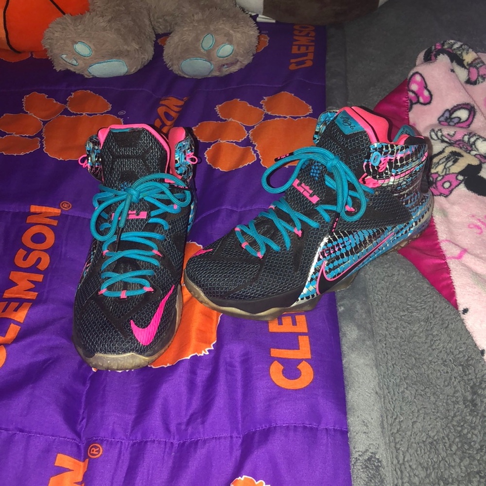 Lebron Shoes